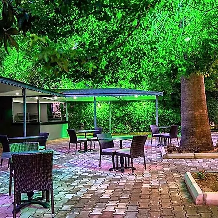 Hotel Grand Alisa 3*